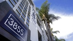 3855 Motor Palms